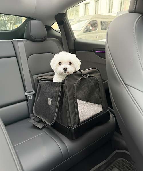 Automotive engineering heritage