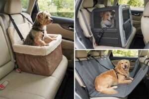 Dog car travel scenarios and safety gear