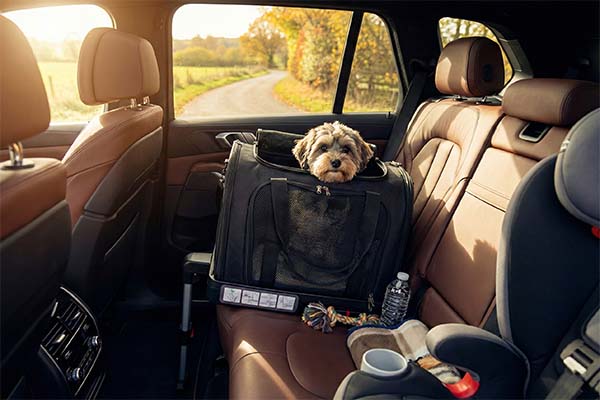 secure ISOFIX base for pet seat