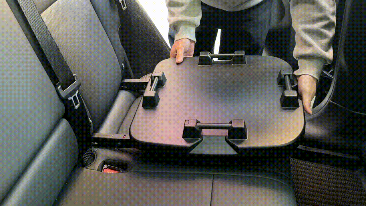 The Base X Pet booster install in a car and 2 way installation