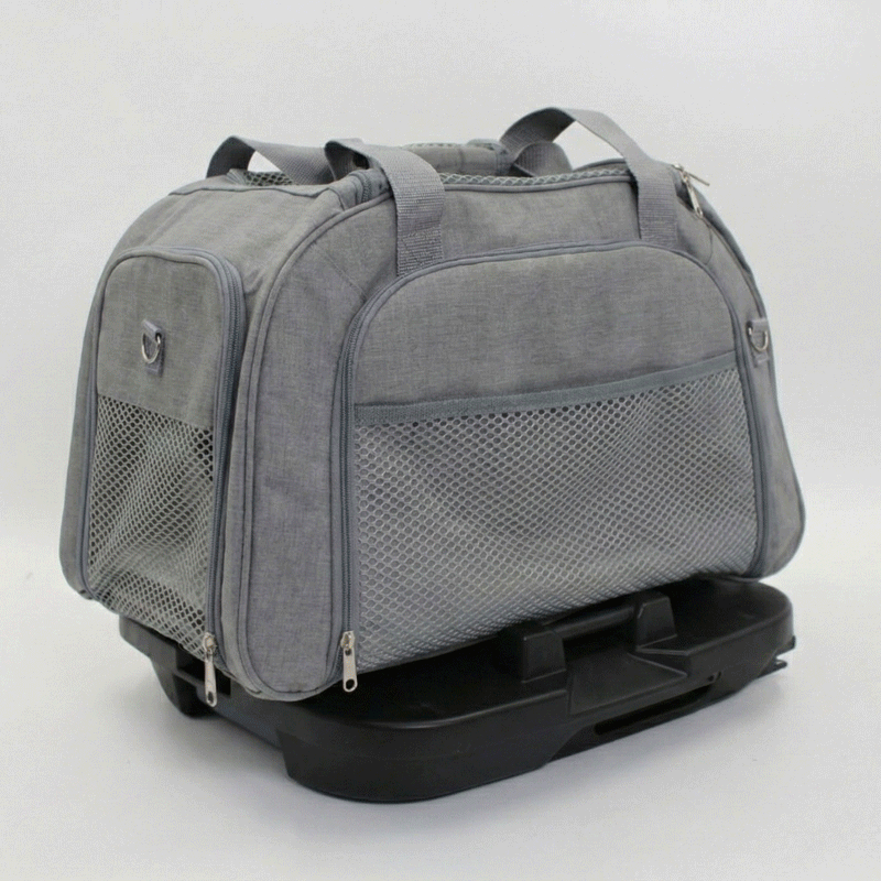 Interchangeable carrier animation