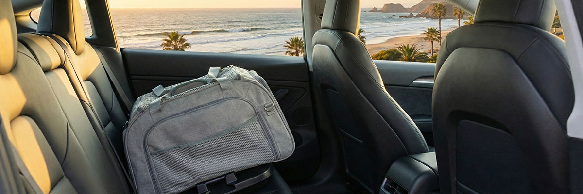 Grey pet carrier bag secured to a safety base on the back seat of a car overlooking a seaside landscape.