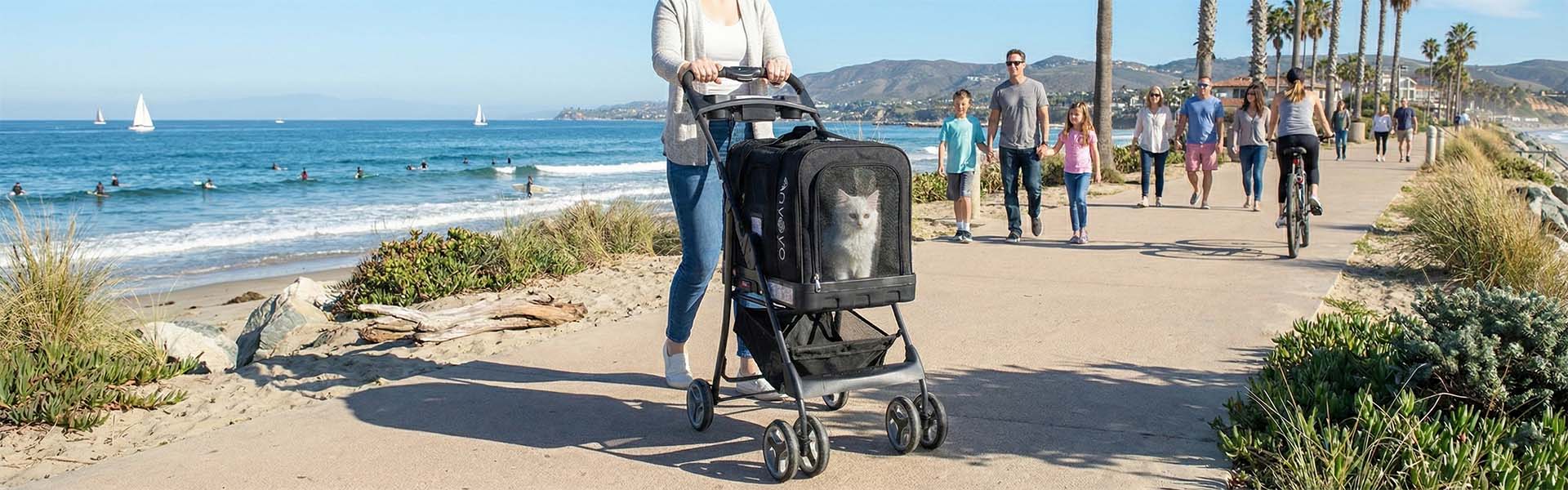 Banner placeholder image