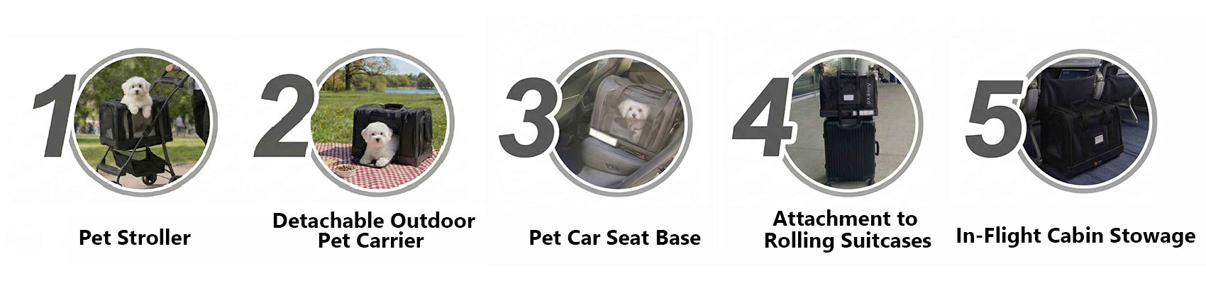 From automotive child safety engineering to revolutionary pet protection systems