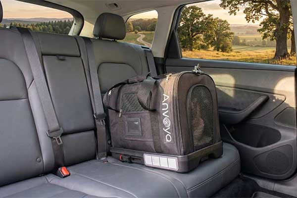 High-performance pet travel equipment