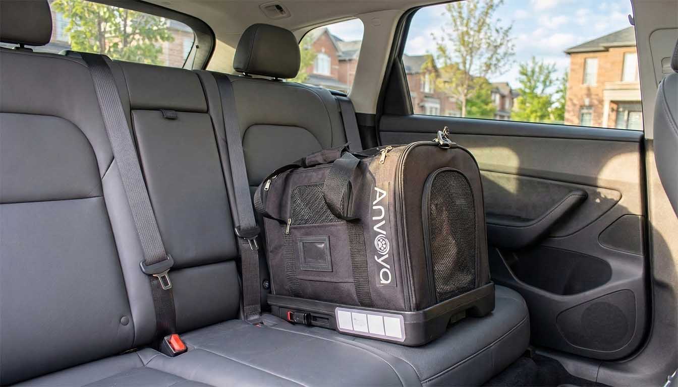 Rigid ISOFIX base for pet car seat