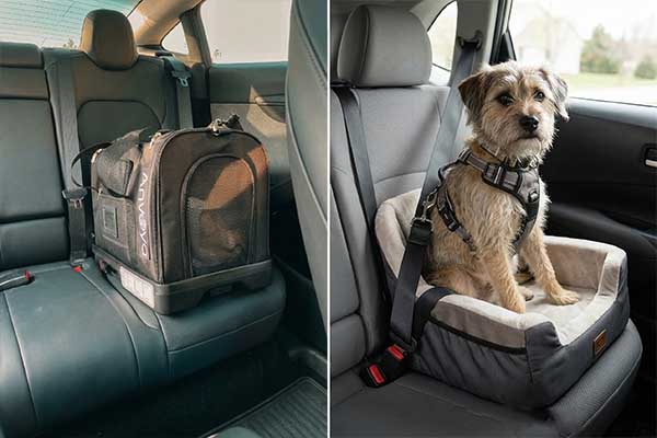 Pet travel safety gap illustration
