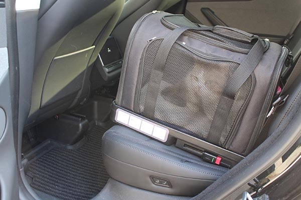 anvoya aero isofix enclosed pet carrier for cats