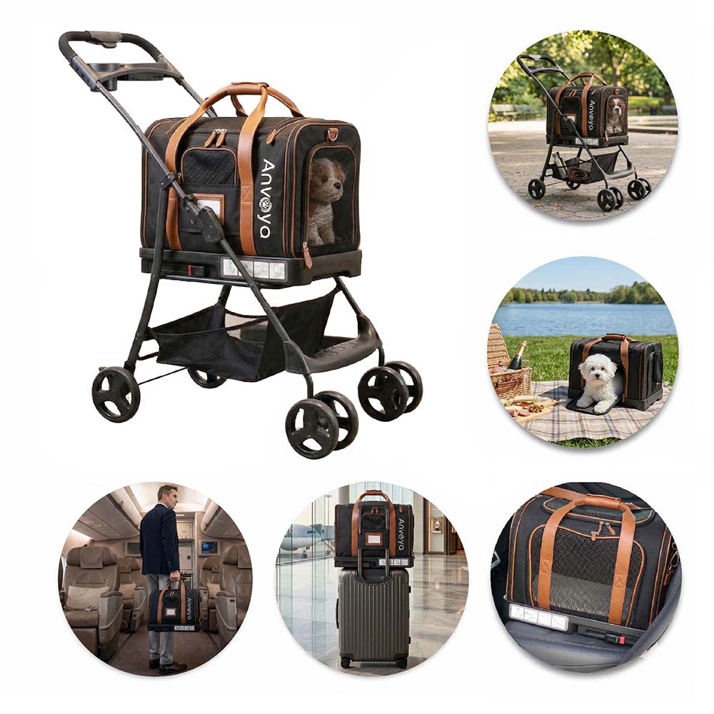 Premium 3-in-1 Pet Travel System OEM Product