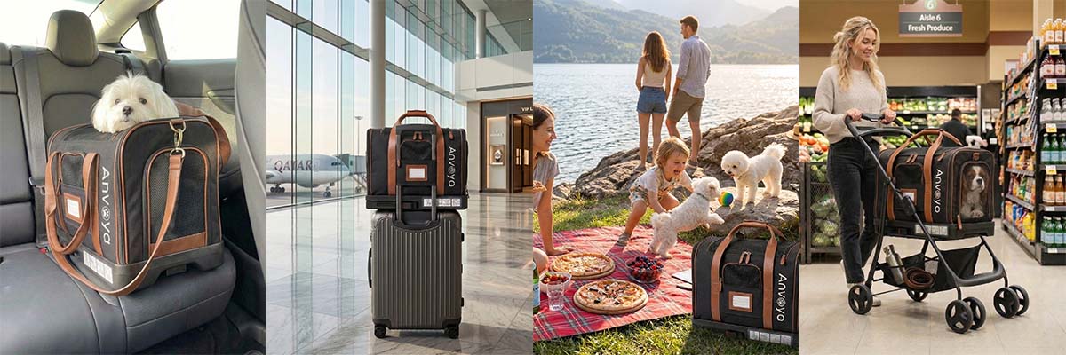 Versatile 3-in-1 pet carrier and stroller system shown in car, travel, and outdoor modes