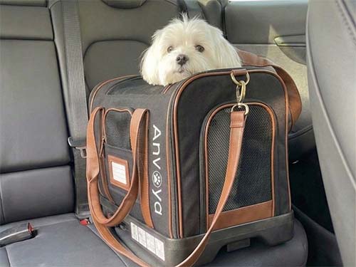 ISOFIX base system showing rigid chassis connection points