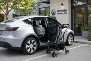 A white car parked outside Westridge Veterinary Clinic with a cat in a carrier placed inside the car and a stroller nearby.