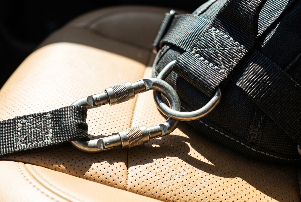 are dog seat belts safe for vehicle travel