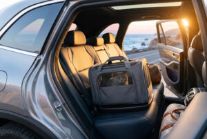 A luxury SUV is parked on the Pacific Coast Highway at sunrise. The side door is open, revealing a premium, highly structured dark-grey cat carrier perfectly secured to the leather back seat by the vehicle's seatbelt.