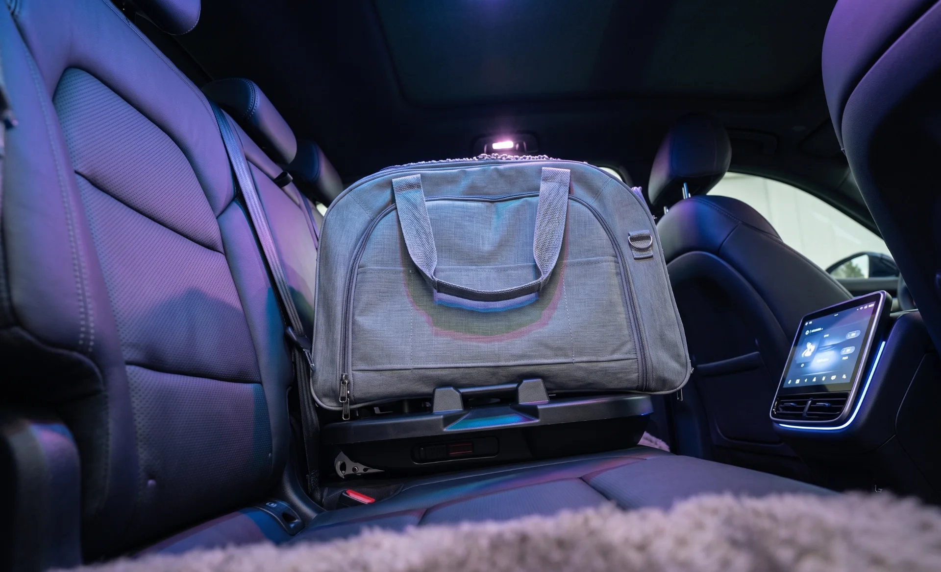 ISOFIX base to secure a dog in a car with pet carrier