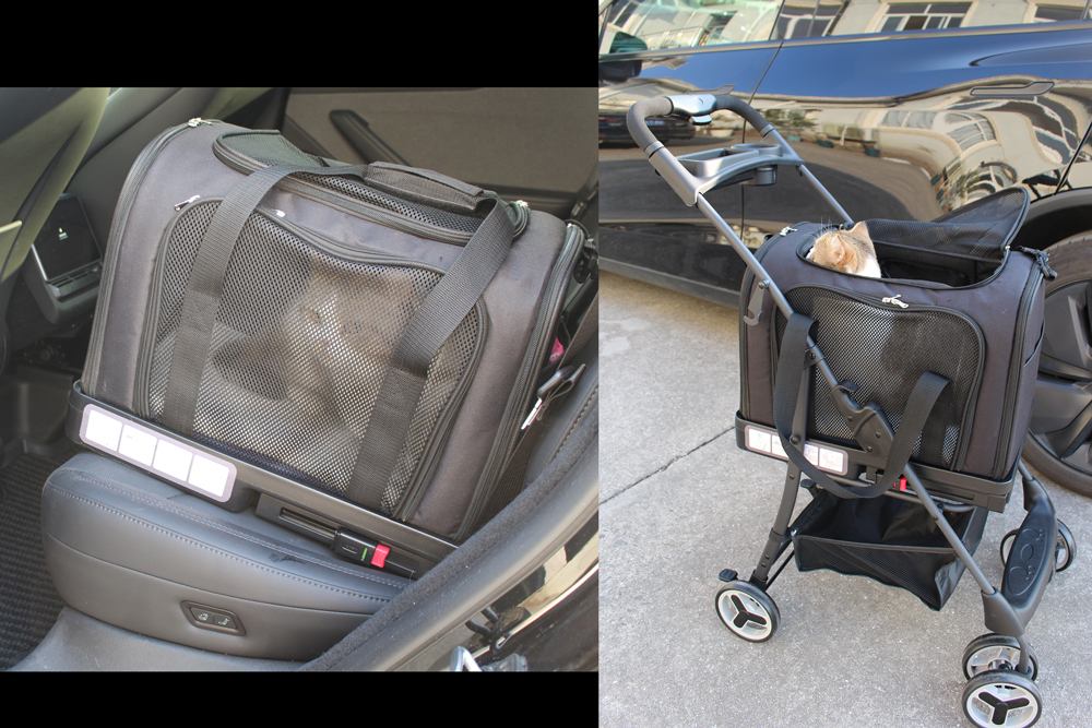pet stroller for dogs compared with carrier and walking for mobility decisions