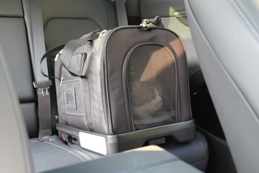 Cat in structured travel carrier car seat, safe cat travel car