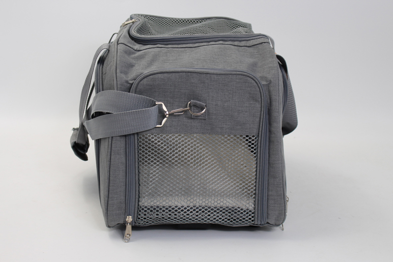 expandable pet carrier with side expansion panel for brand development