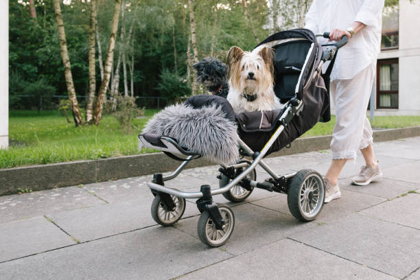 pet stroller wheel size for sidewalks parks and rough terrain