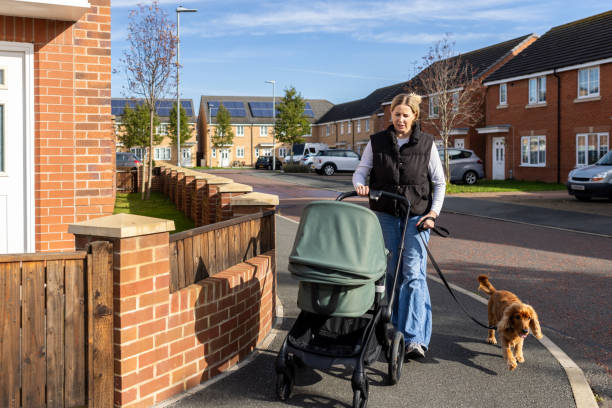 3-Wheel vs 4-Wheel Pet Stroller maneuverability and turning radius