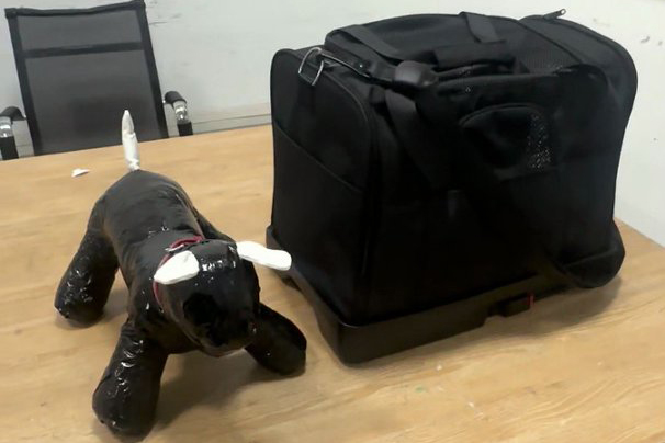 pet carrier sampling real travel scenario testing for brands