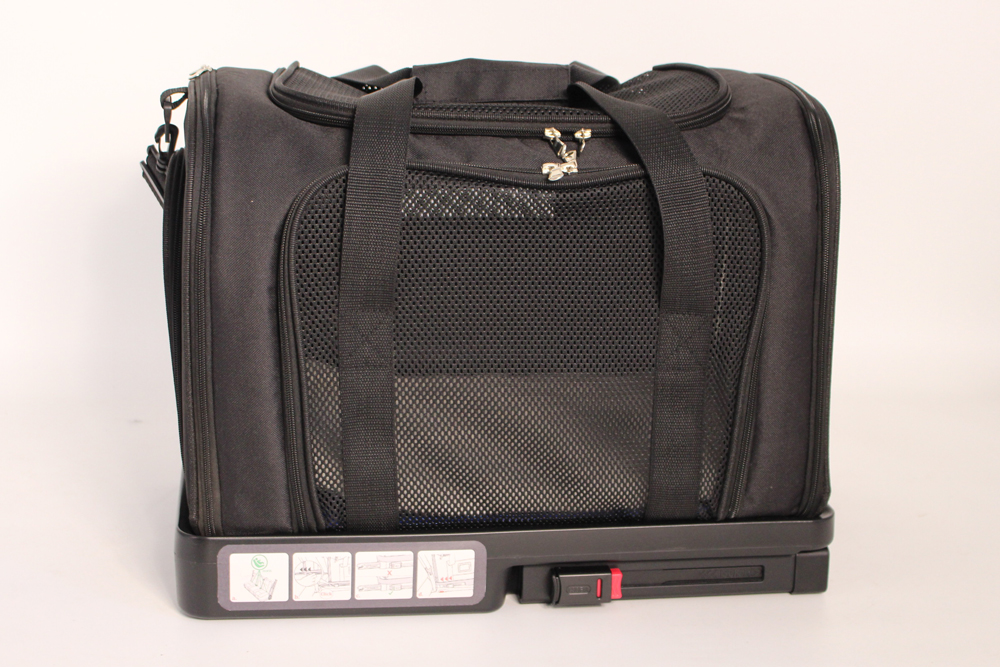 dog carrier travel factors, dog comfort in pet carrier, long distance dog travel