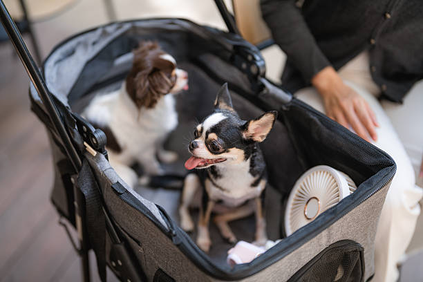 A split-screen image showing a structured pet stroller with a firm shape next to a collapsible stroller sagging inward with a pet inside.