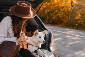 safe time dog carrier, how long dog in crate travel, dog carrier time limit