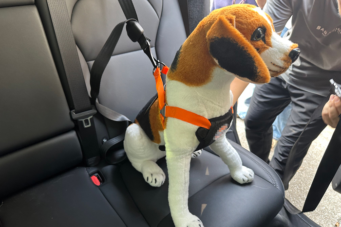 dog car restraint harness for larger dogs fit structural and vehicle compatibility requirements