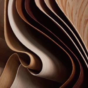 Wood Veneer